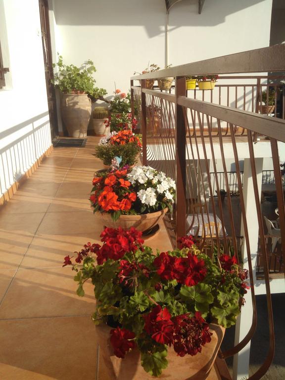Apartmani Dado Ulcinj Extérieur photo