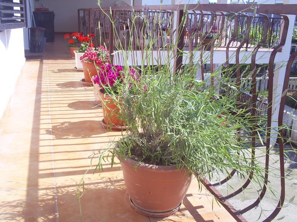 Apartmani Dado Ulcinj Extérieur photo